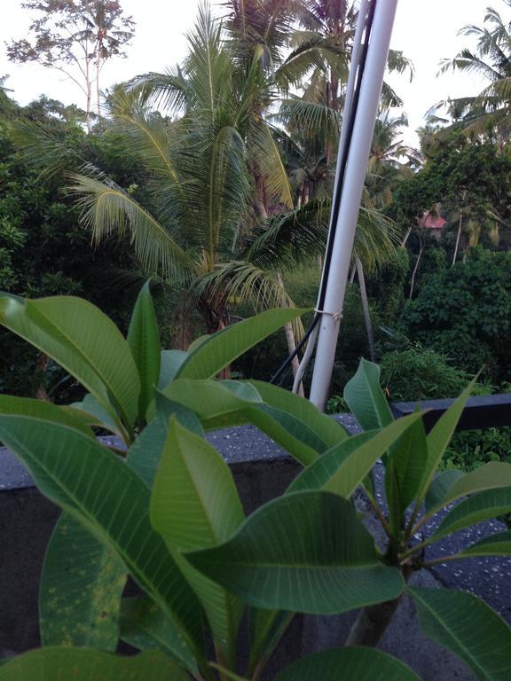Séjour chez l'habitant Cebluk Sari Ubud